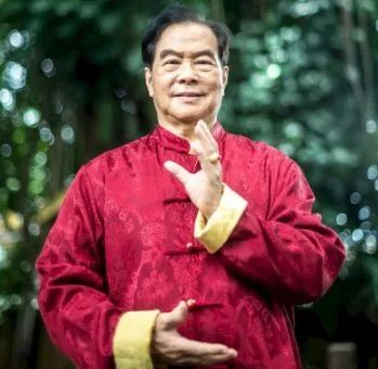 大师 Mantak Chia，传统康养与综合咨询参考