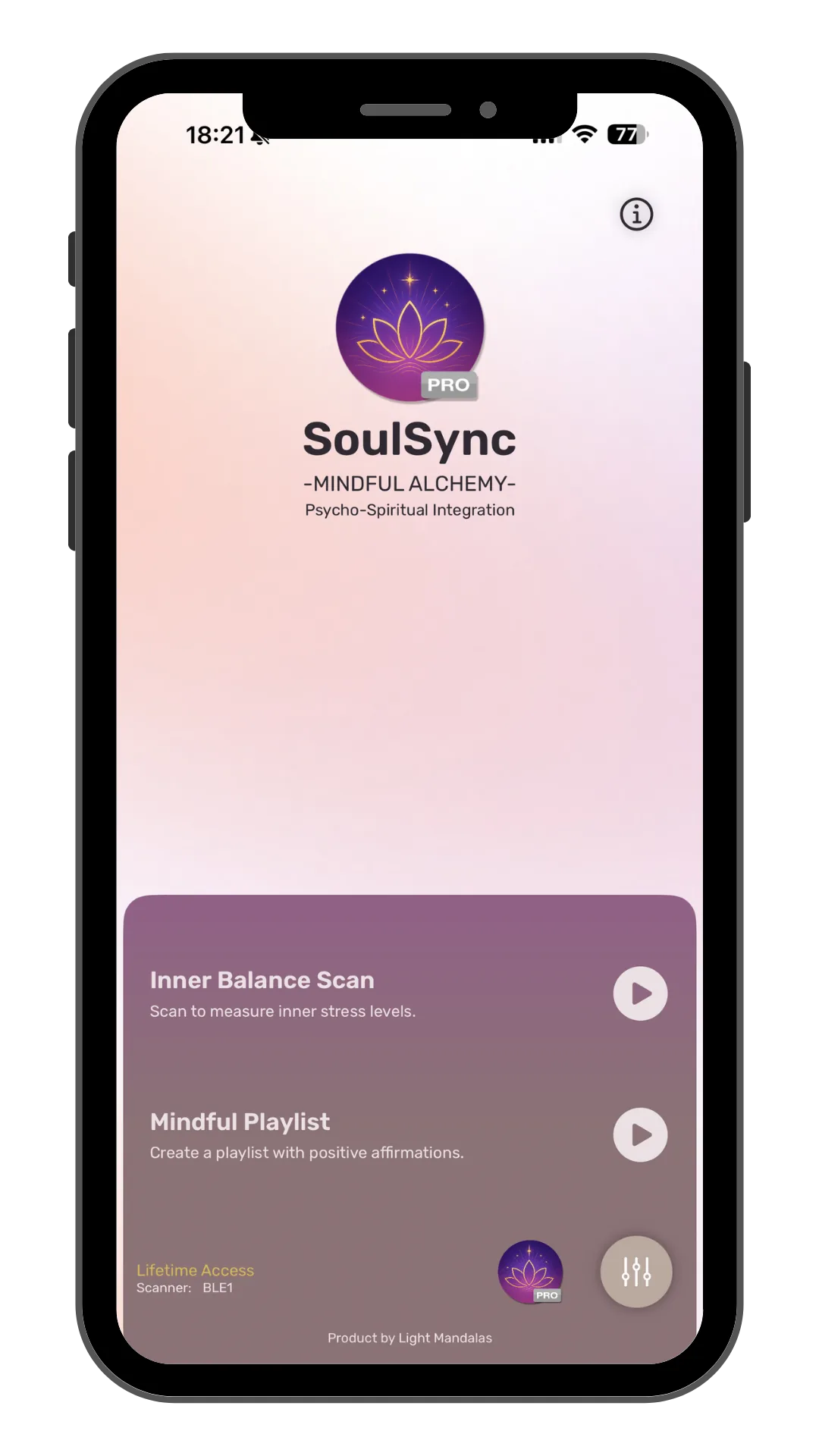 SoulSync companion application visual